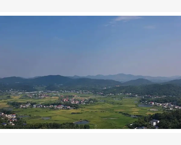 脾胃痰湿重持续胃疼怎么办？