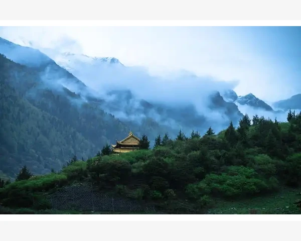 中医经典组方-四逆汤，缓解腹胀烦闷，舒缓不良脾胃